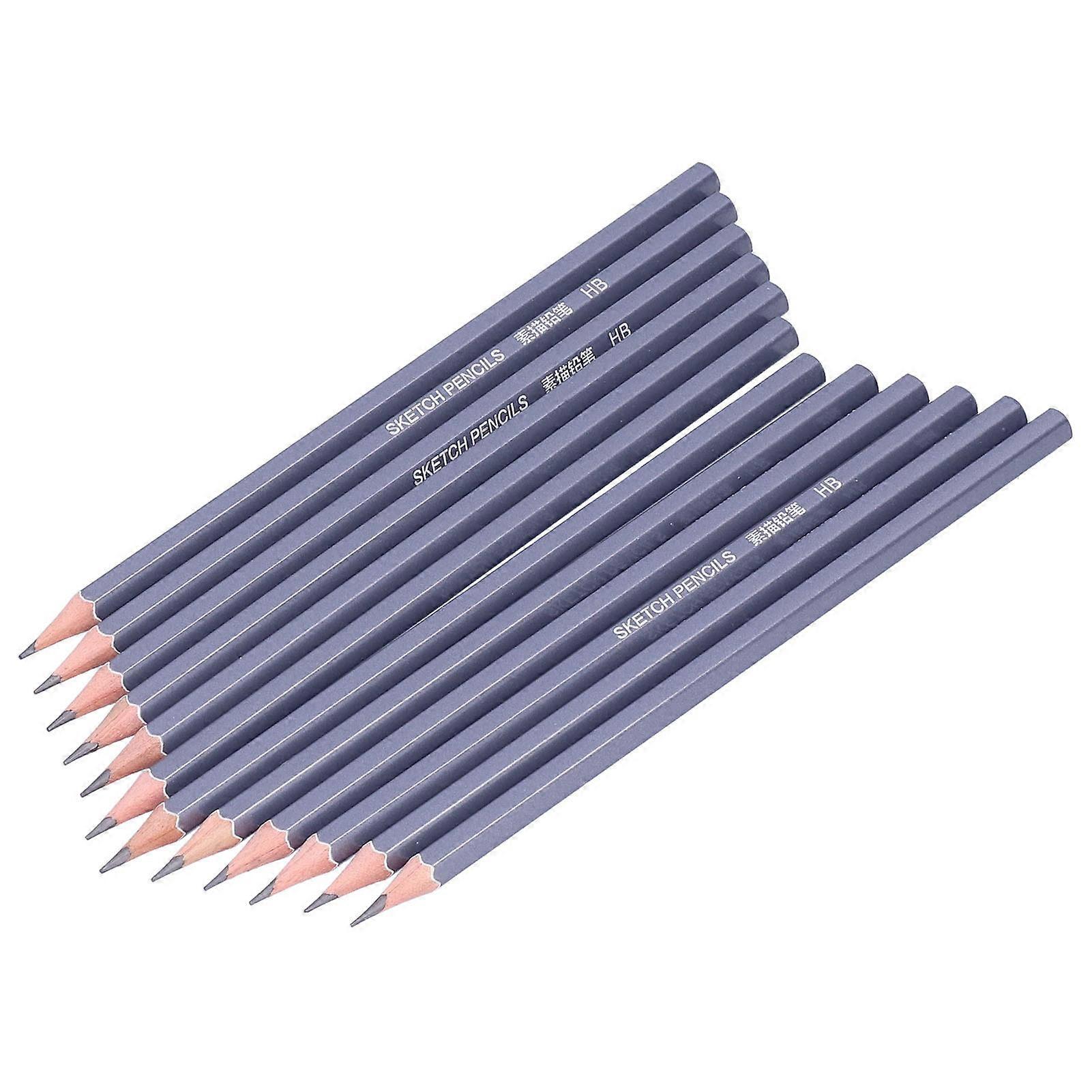 12Pcs Graphite Pencils Set for Sketching Drawing Graffiti Design