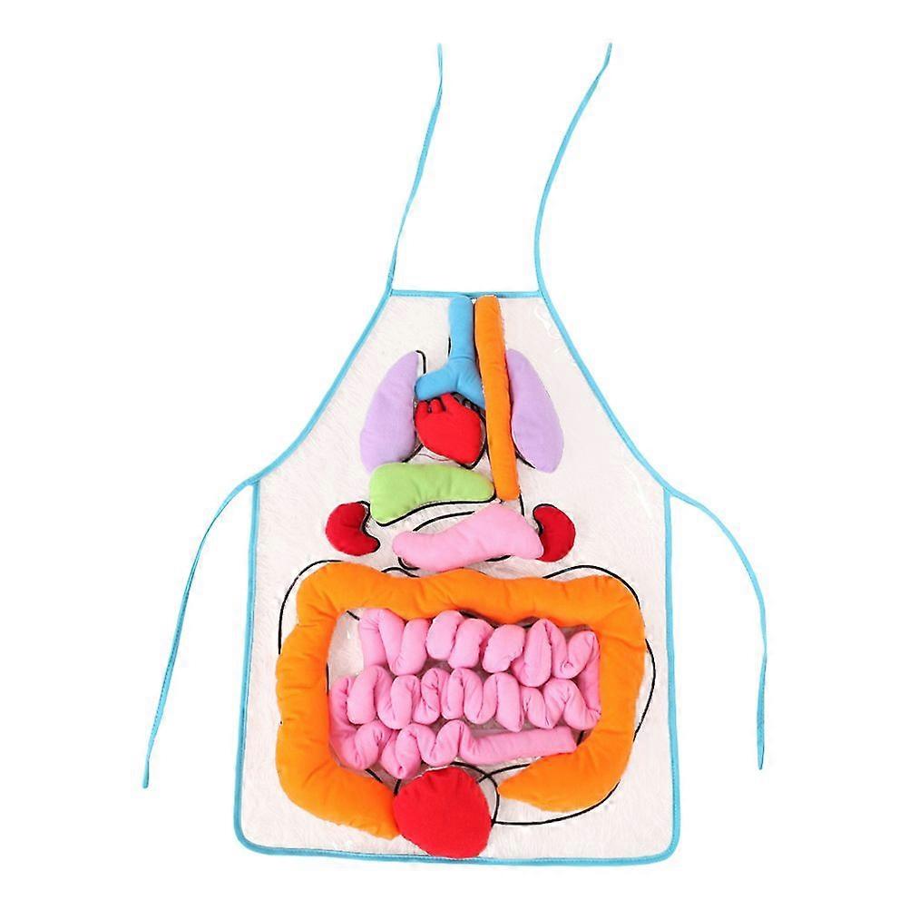 1 Set Human Viscera Three-dimensional Organs Apron Children's Early Education Teaching Tool