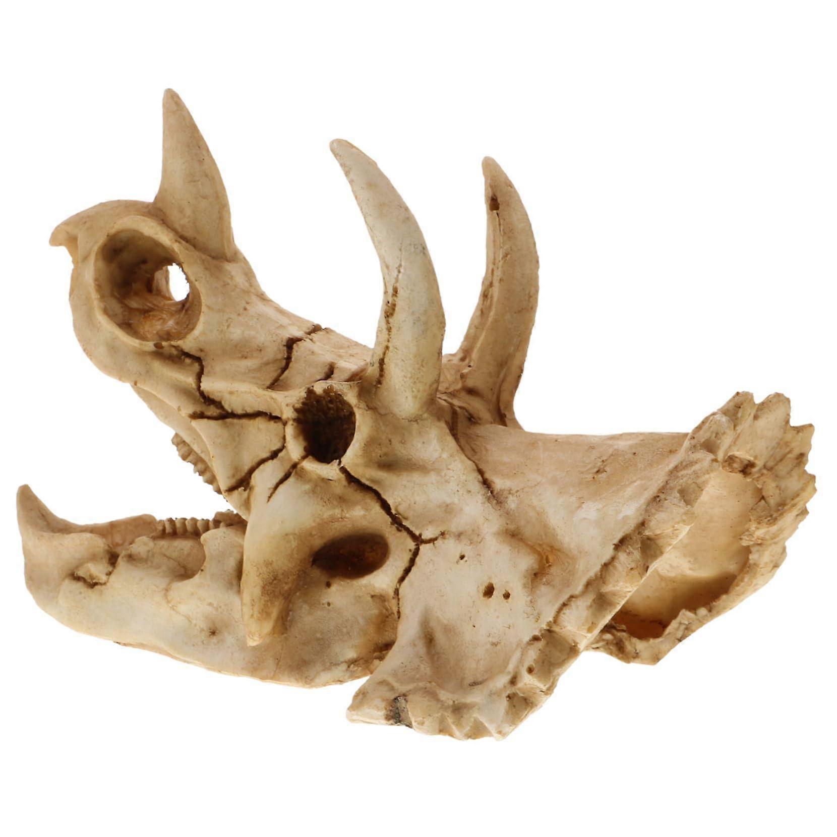 Dinosaur skull aquarium hideout for, resin ornament for gecko and turtle, decoration for fish tanks