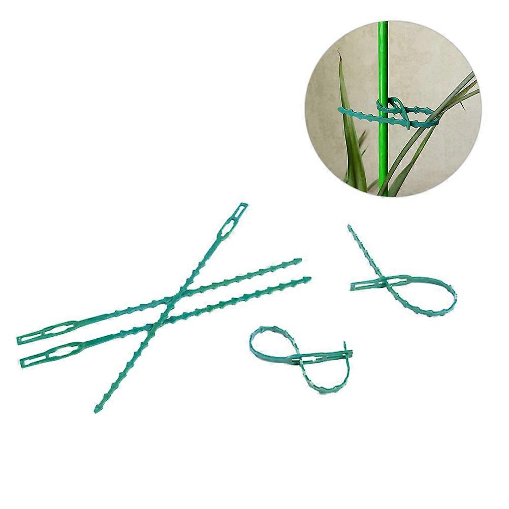 Light Green Cable Tie Plastic Fixing Buckle for Plants 16Pcs