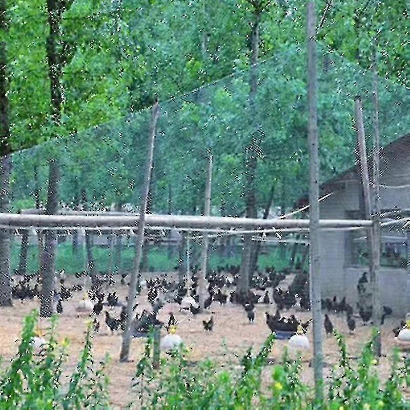 Heavy Anti Bird Netting Net Garden Fence And Crops Protective Fencing Mesh Anti Bird Deer Cat Dog Chicken 25-26