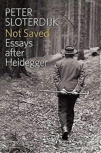Not Saved: Essays After Heidegger