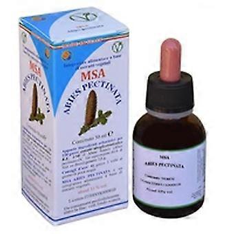 Msa Abies Pectinata 50 ml