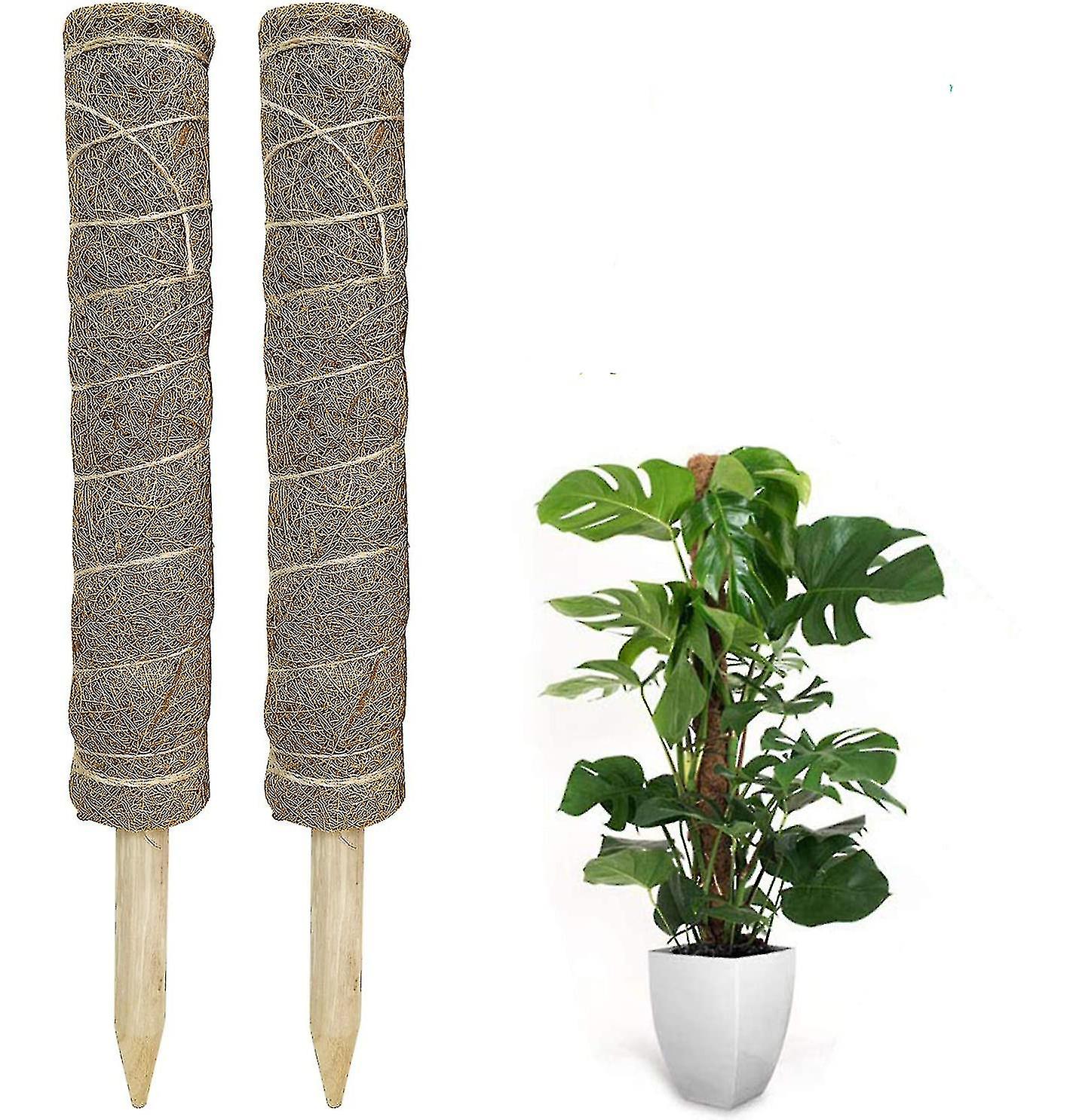 2 قطعة قطب الطحلب للنباتات - إجمالي أعمدة النبات 40 سم ل Monstera ، أعمدة Monstera Moss لتسلق النباتات ، دعامات النبات للنباتات المحفوظة بوعاء في الداخل Hig