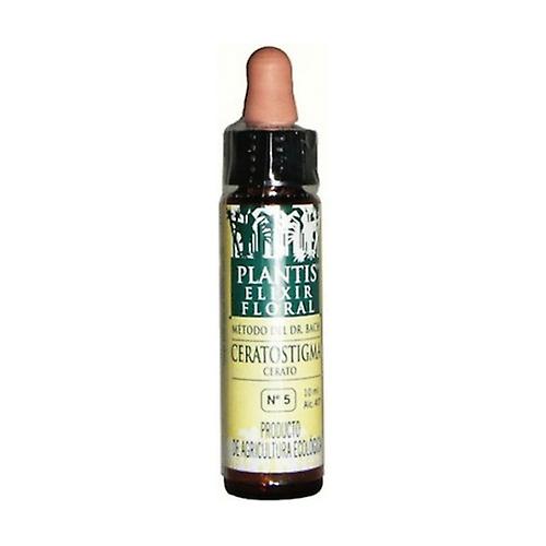 Ceratostigma No. 5 Eco 30 ml of floral elixir