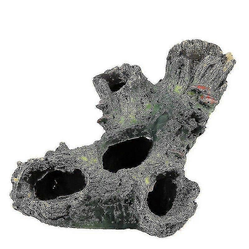 Tree Hole Hiding Cave Rium Reptile Habitat Landsca Hollow