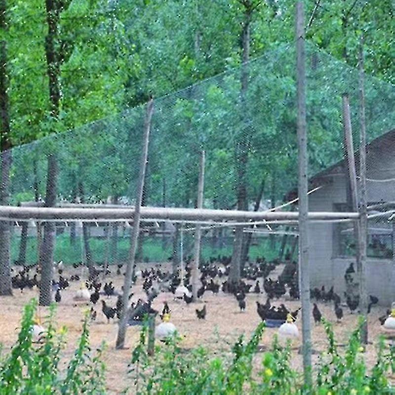 Heavy Anti Bird Netting Net Garden Fence And Crops Protective Fencing Mesh Anti Bird DeerDog Chicken