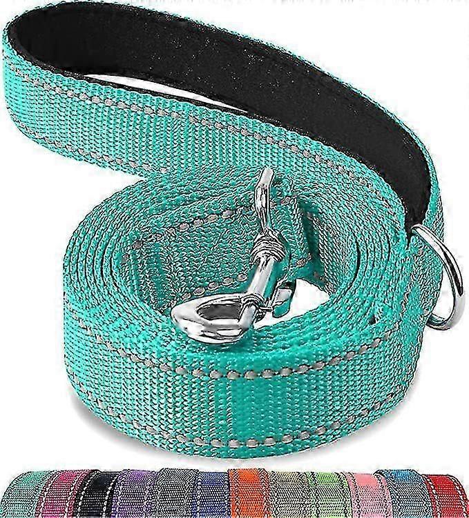Double-sided Reflective Dog Leash, Padded Handle Nylon Dogs Leashes For Medium & Large Dogs Walking, Teal