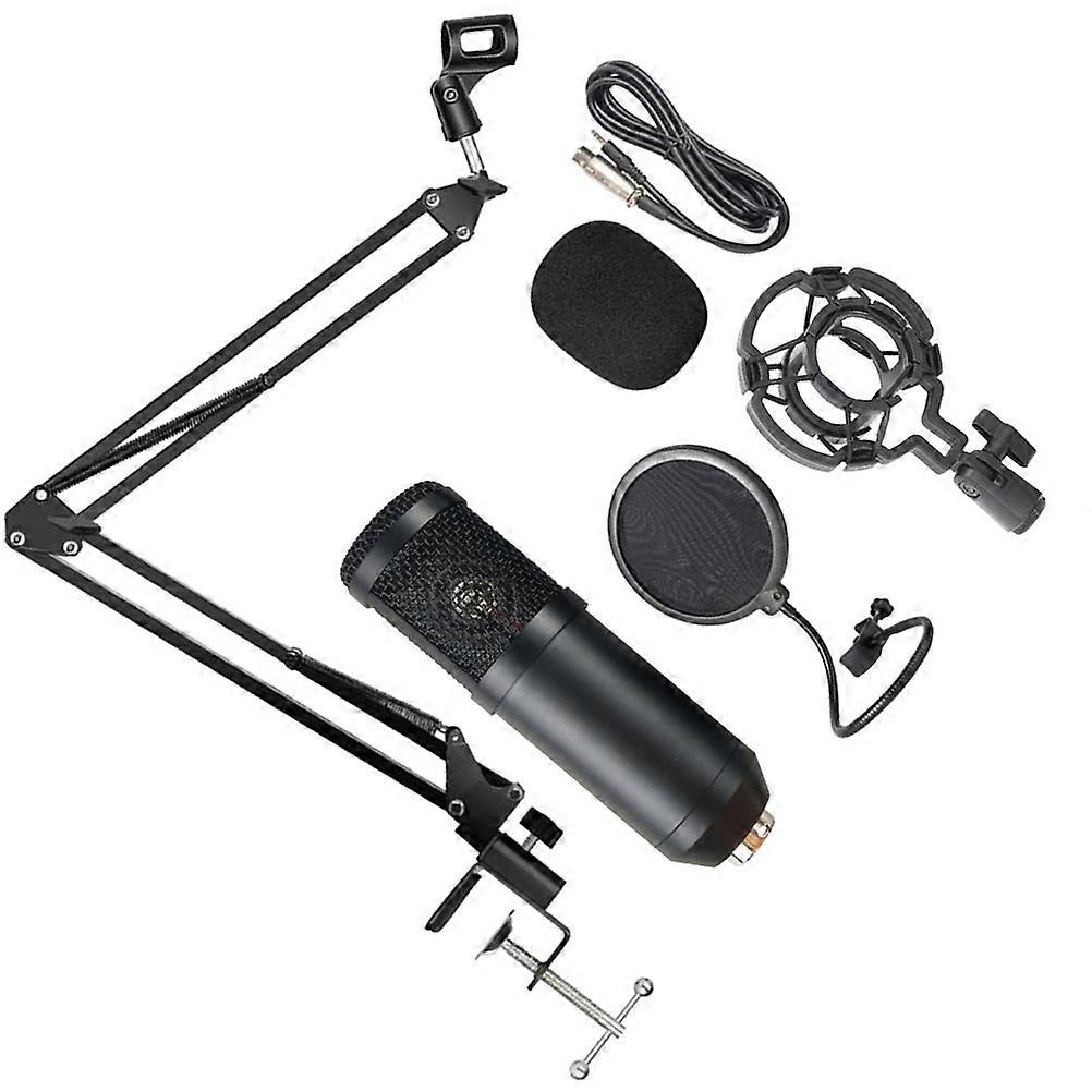 Professional Microphone Bm800 Record Pure Sound For Broadcasters Recording Studios 1 Set