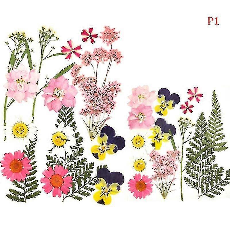 Preslenmiş Çiçekler Küçük Kurutulmuş Çiçekler Scrapbooking Diy Korunmuş Çiçek Dekoru