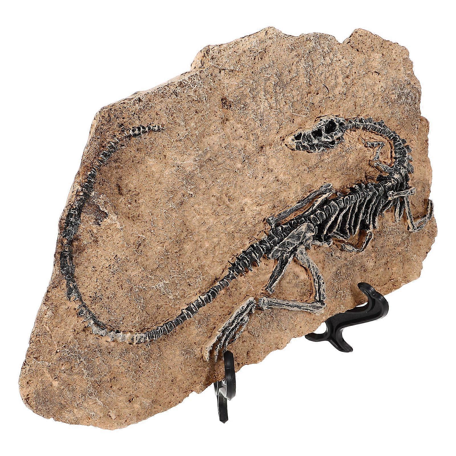 Dinosaur Craft Resin Ornament Simulation Decor for Collection 2Pcs