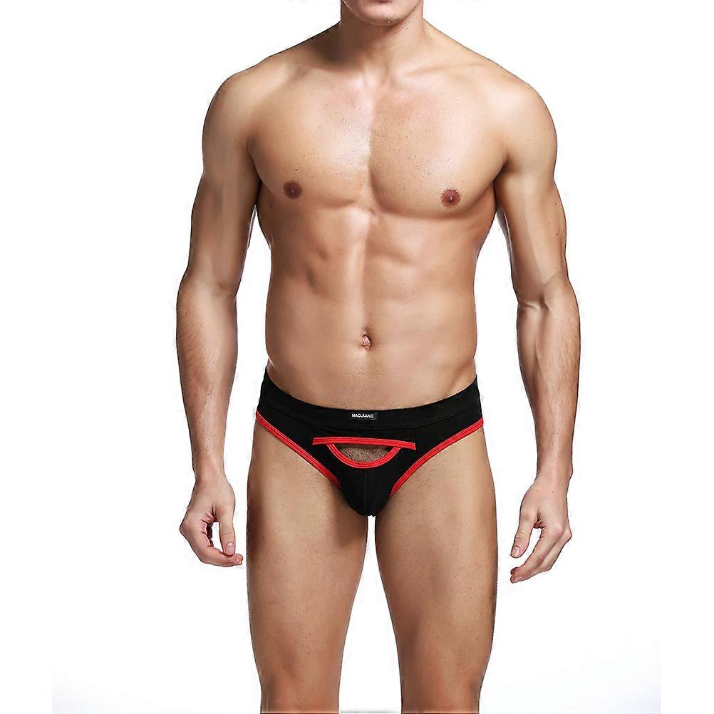Sheer Bulge Brief for Wearing with One Piece
