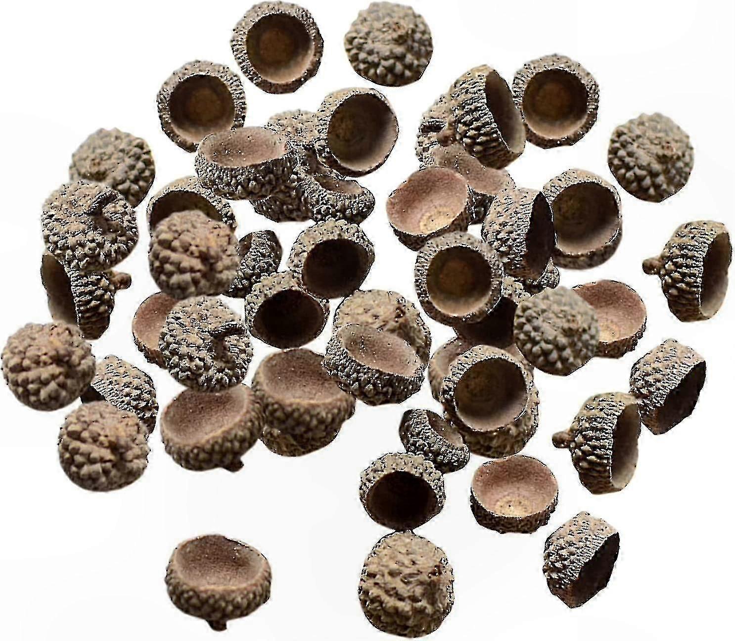 Natural Acorn Caps Decorative Vase Fillers for Autumn Table Scatter and Photo Props