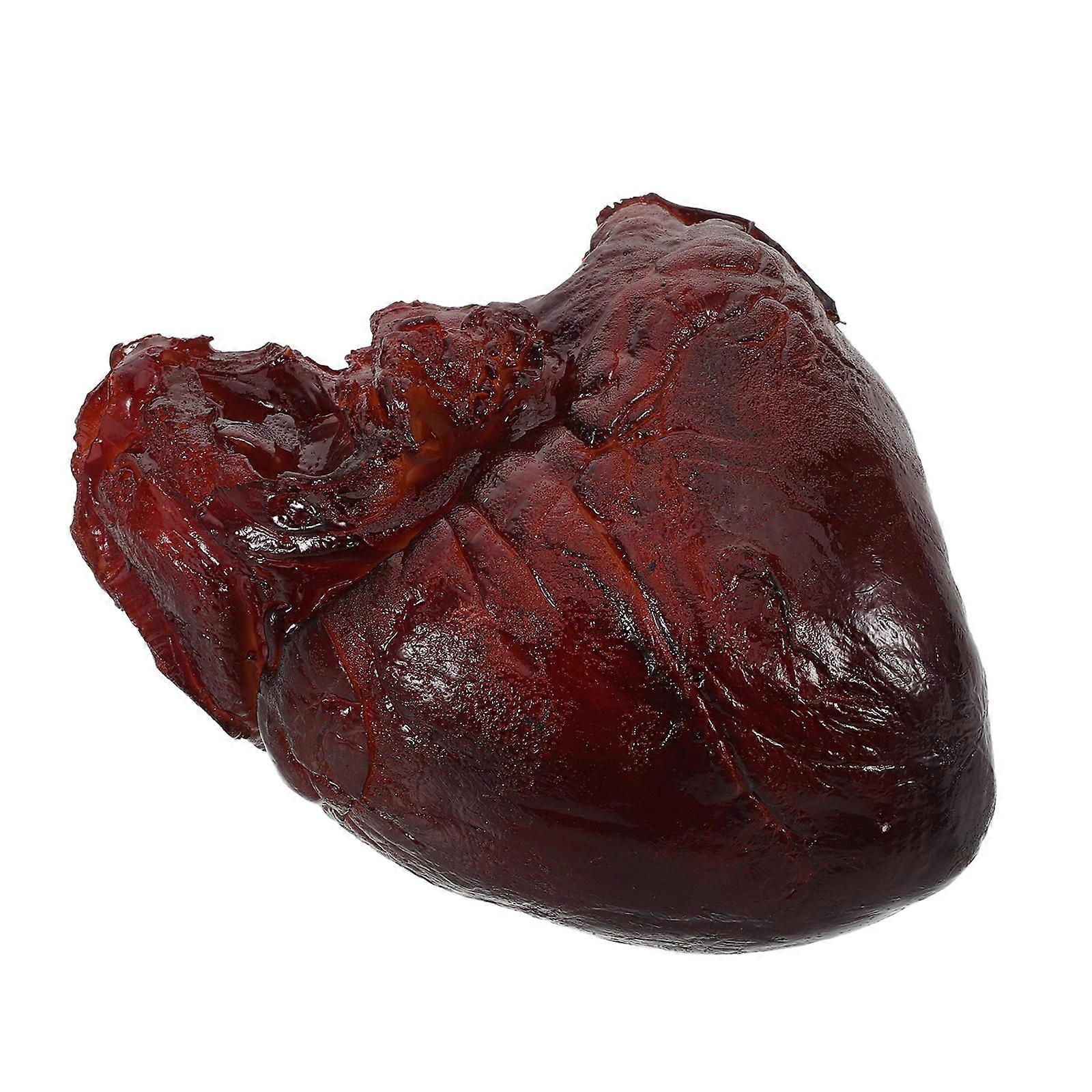 Artificial Food Prop Pig Heart Model for Kitchen Display 2Pcs Brown