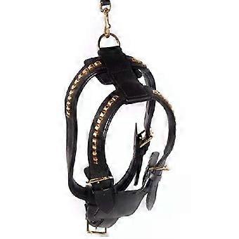 GENUINE LEATHER DOG HARNESS WITH STUDS, FULLY PADDED CHROME PLATED BRASS FITTING