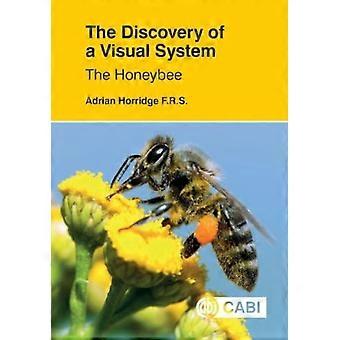 Ontdekking van een visueel systeem: de honingbij