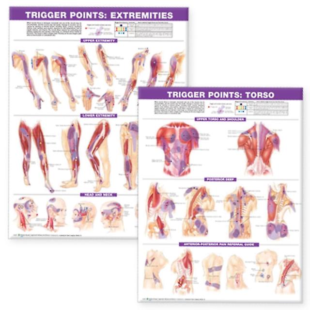 Trigger Point Chart Set Torso Extremities Paper Paperback Book