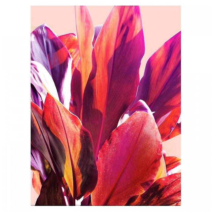 Gemma Bardot Tropical Leaves I Paper Print