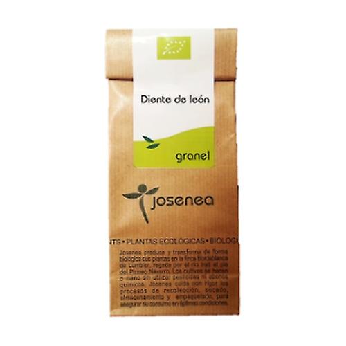 Dandelion 25 g