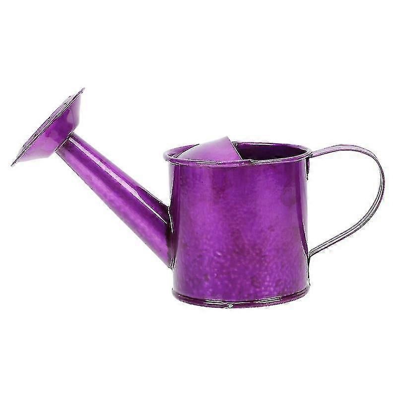 1pcs Watering cans, Iron Sheet Watering Can