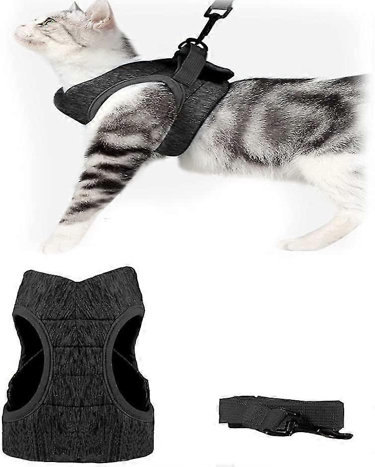 Cat Harness - Cat Harness, Escape Proof, Cat Set, Adjustable Harness For Small
