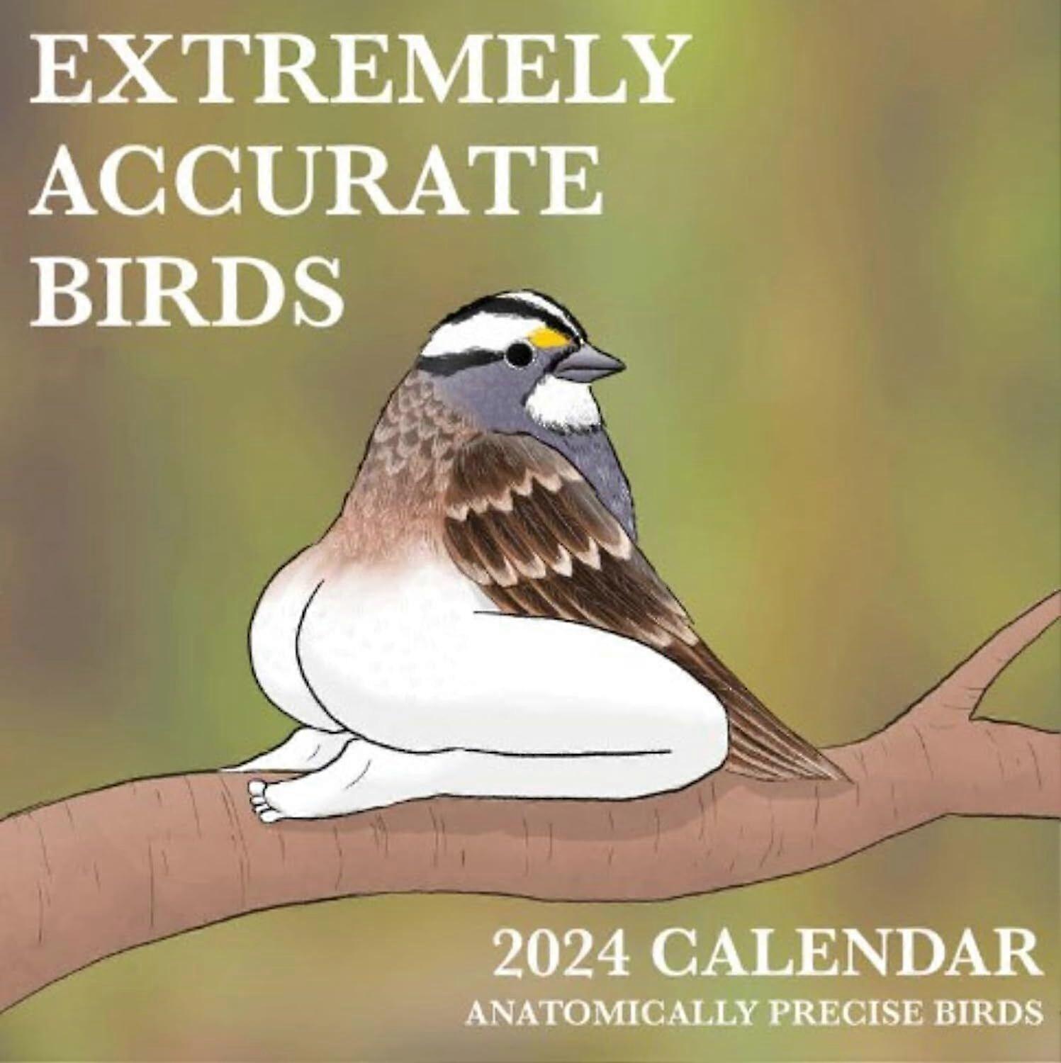 CALENDARIO 2024 DE AVES EXTREMADAMENTE PRECISAS