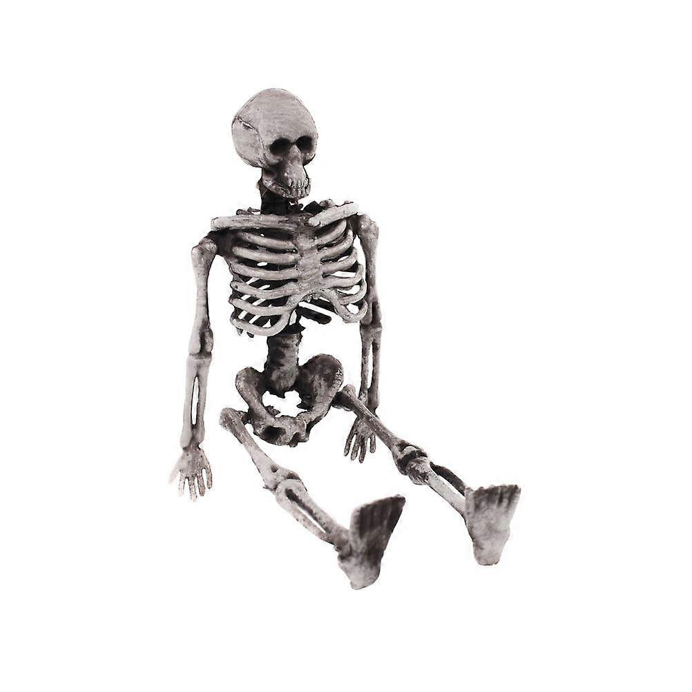 Simulated Skeleton Prop Halloween Skeleton Small Human Body Bone Model