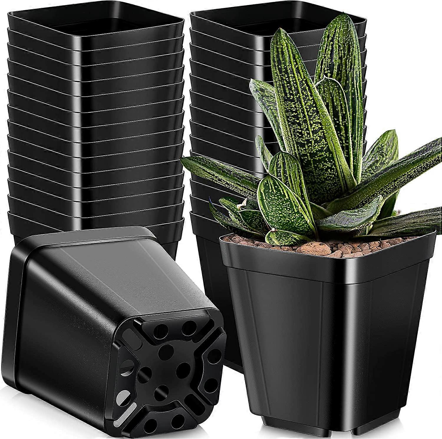50Pcs Black Square Nursery Pots