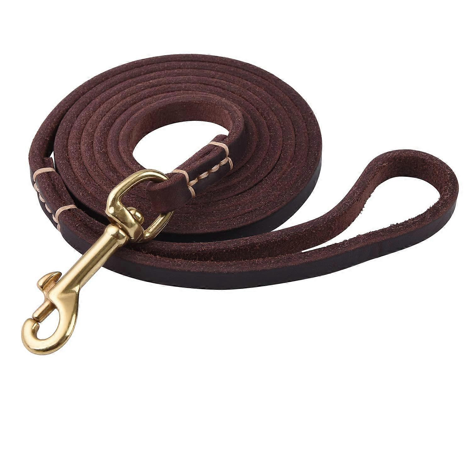 Dog Leash for Training and Walking Small Size