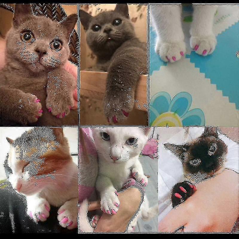 40 Pcs Soft Cat Dog Nail Caps Pet Paw Claw Protector Nails Cover With Free Glue Applictor(XL)