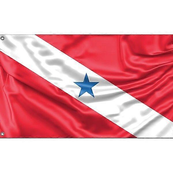 Para, Brazil Flag FG032