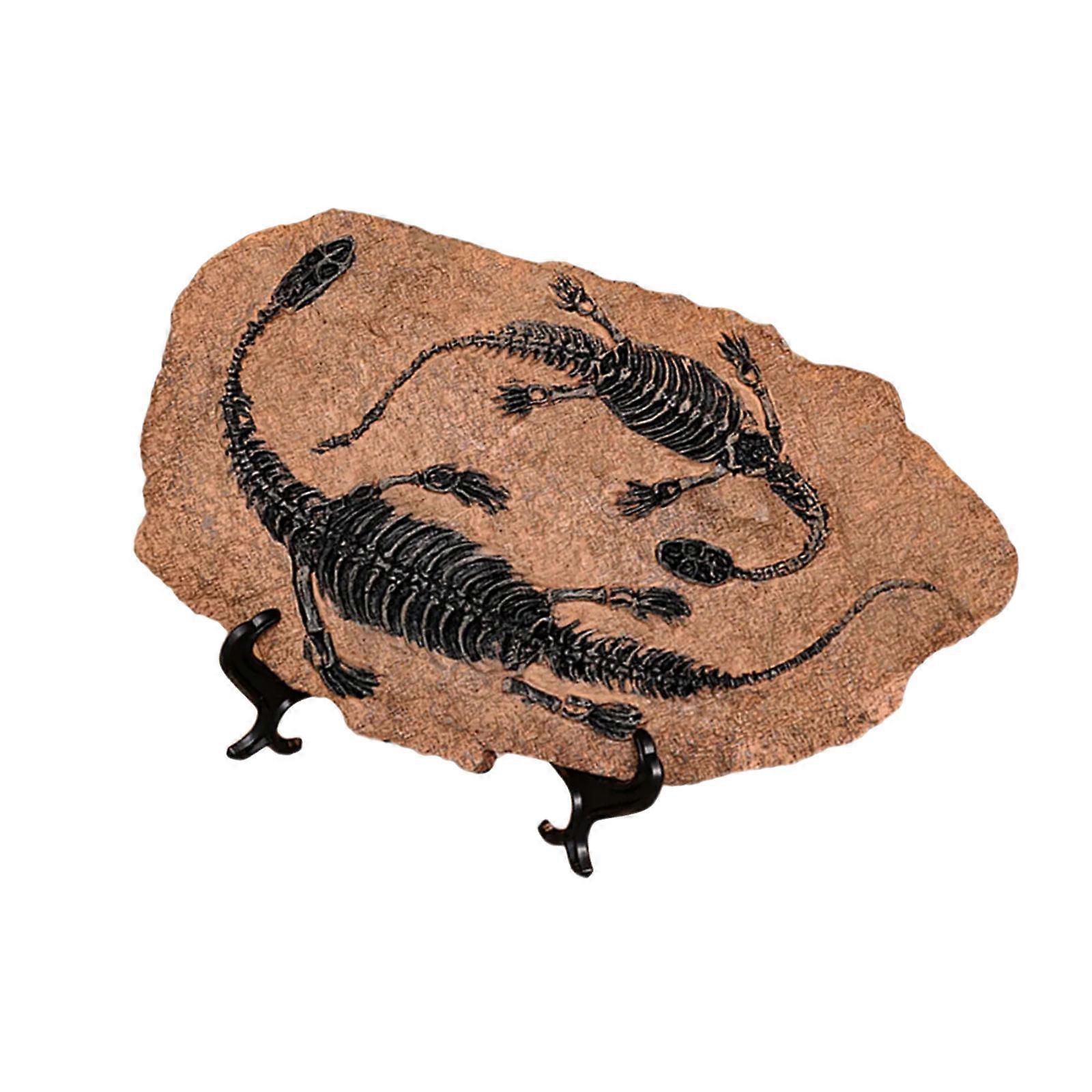 Resins Dinosaur Skeleton Fossils Statue Figurines Sculpture Collectible Ornament Home Office Desktop Display Decoration Multicolor