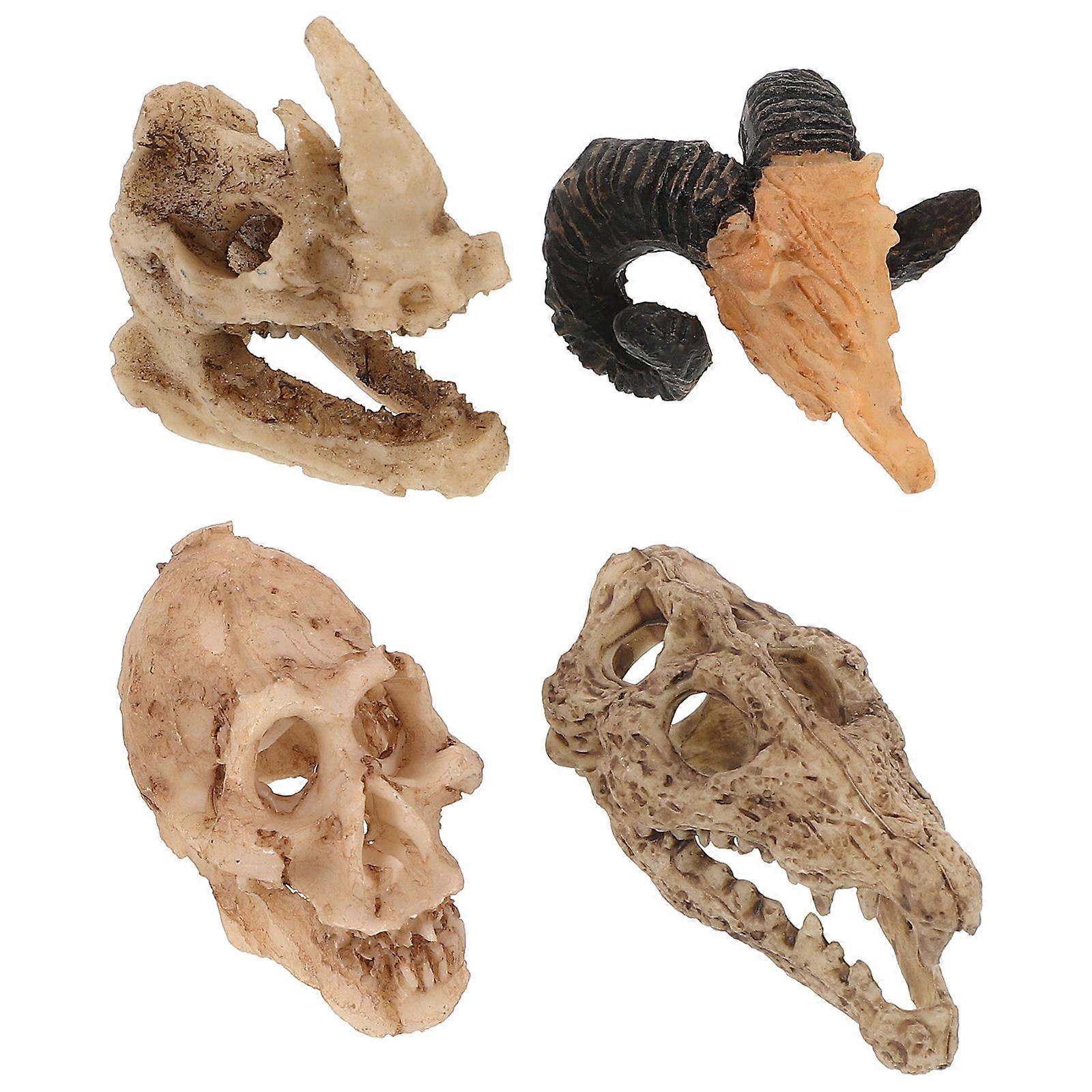 Reptile Hide Skull Model Decoration for Aquarium Tank 4Pcs Set