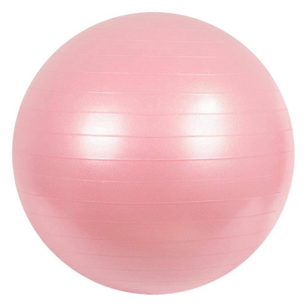 Sporting Goods > Exercise & Fitness > Exercise Balls