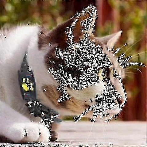 Smart Gps Cat And Dog Collar Tracker