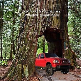 Redwood National Park Attracties en bezienswaardigheden om te zien Kinderboek: Geweldige manier voor kinderen om Redwood National Parks te zien