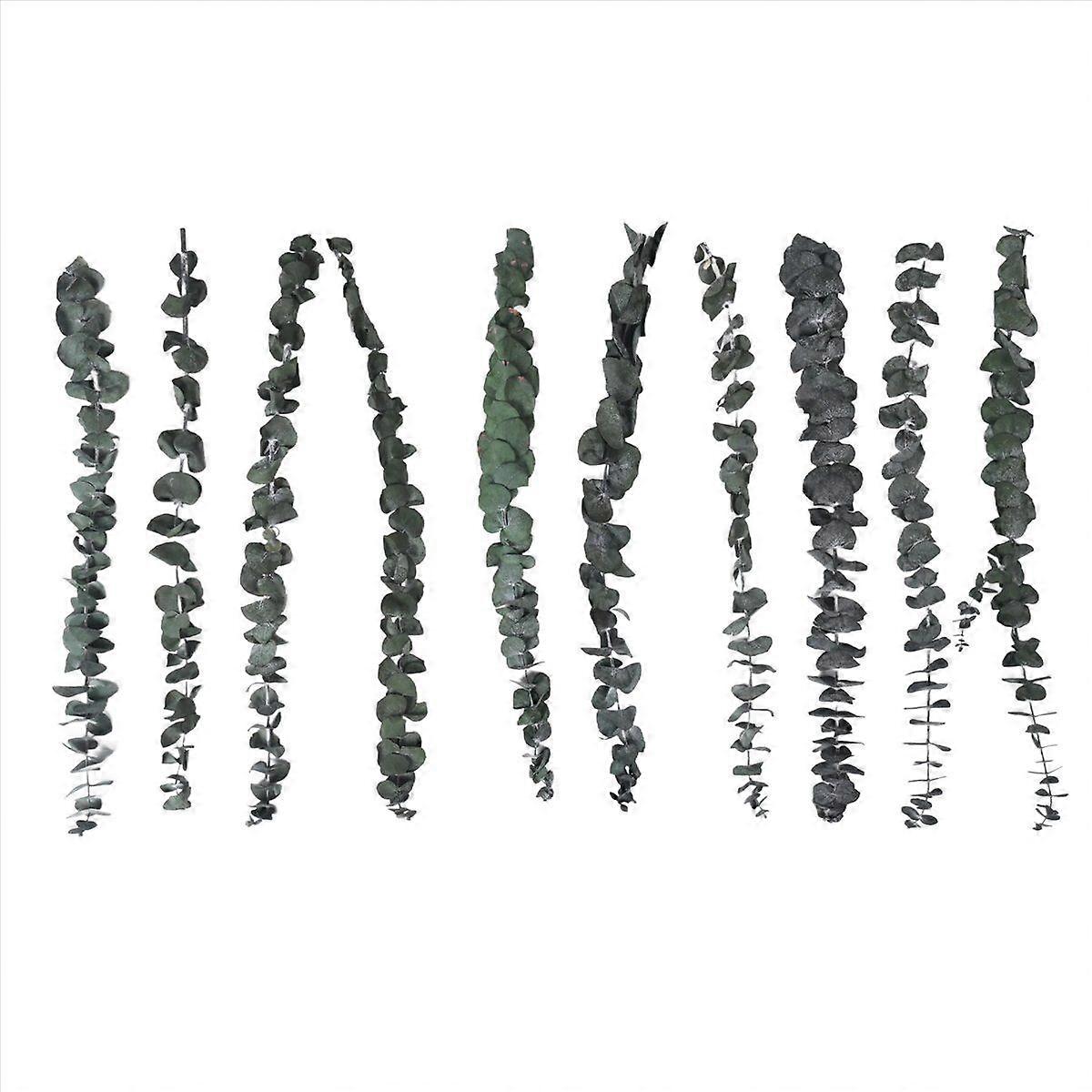 10Pack Natural Dried Eucalyptus Bundle,Preserved Fresh Eucalyptus