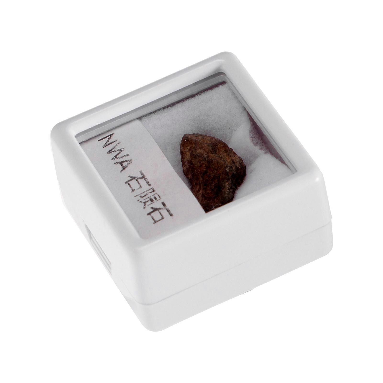 Irregular Stone Specimen Olive Meteorite for Collection Meteorite Sample