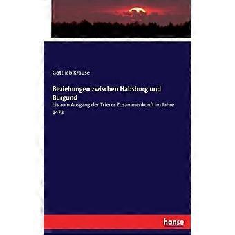 Beziehungen Zwischen Habsburg Und Burgundbis Zum Ausgang Der Trierer Zusammenkun - Gottlieb Krause - Paperback - English Book - History