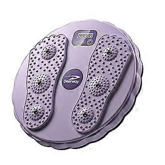 Waist Twister Disc with 3D Massage, LCD Display, Magnetic Balls  Home Fitness Exercise & Toning Equipment