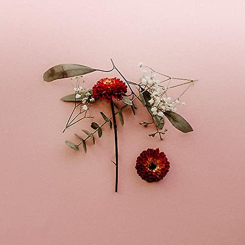 Sunsleeper - You Can Miss Something & Not Want It Back [CD]