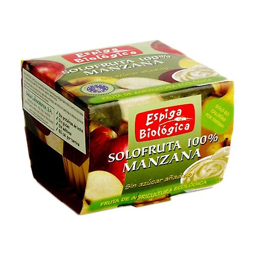 Sugarless Apple Jam 2 units of 100g