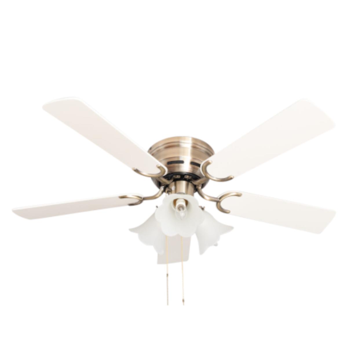 Ceiling fan Kisa Deluxe AB White / Maple with lights