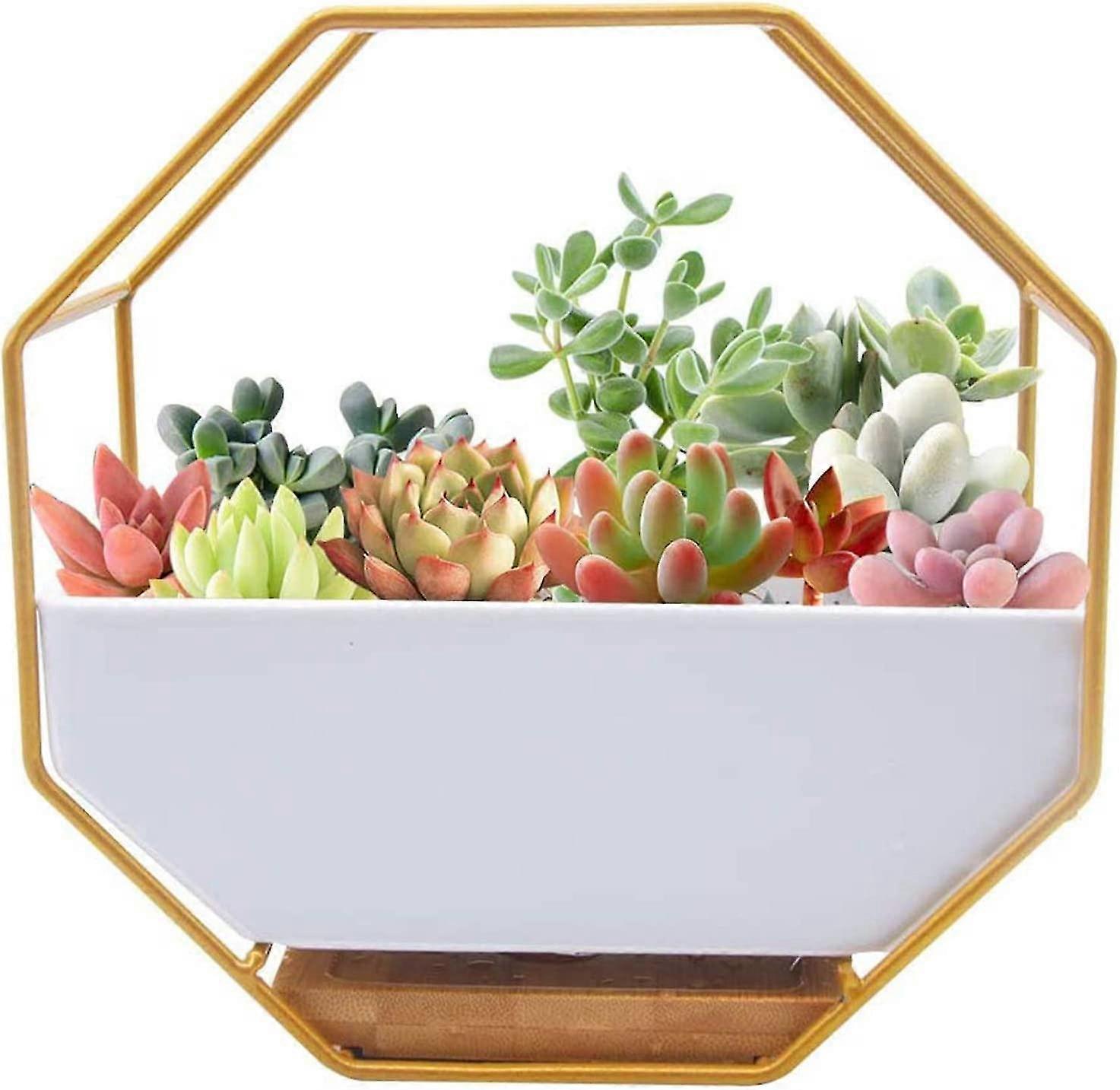 Modern Metal Wire Wall Planter,wall Mounted