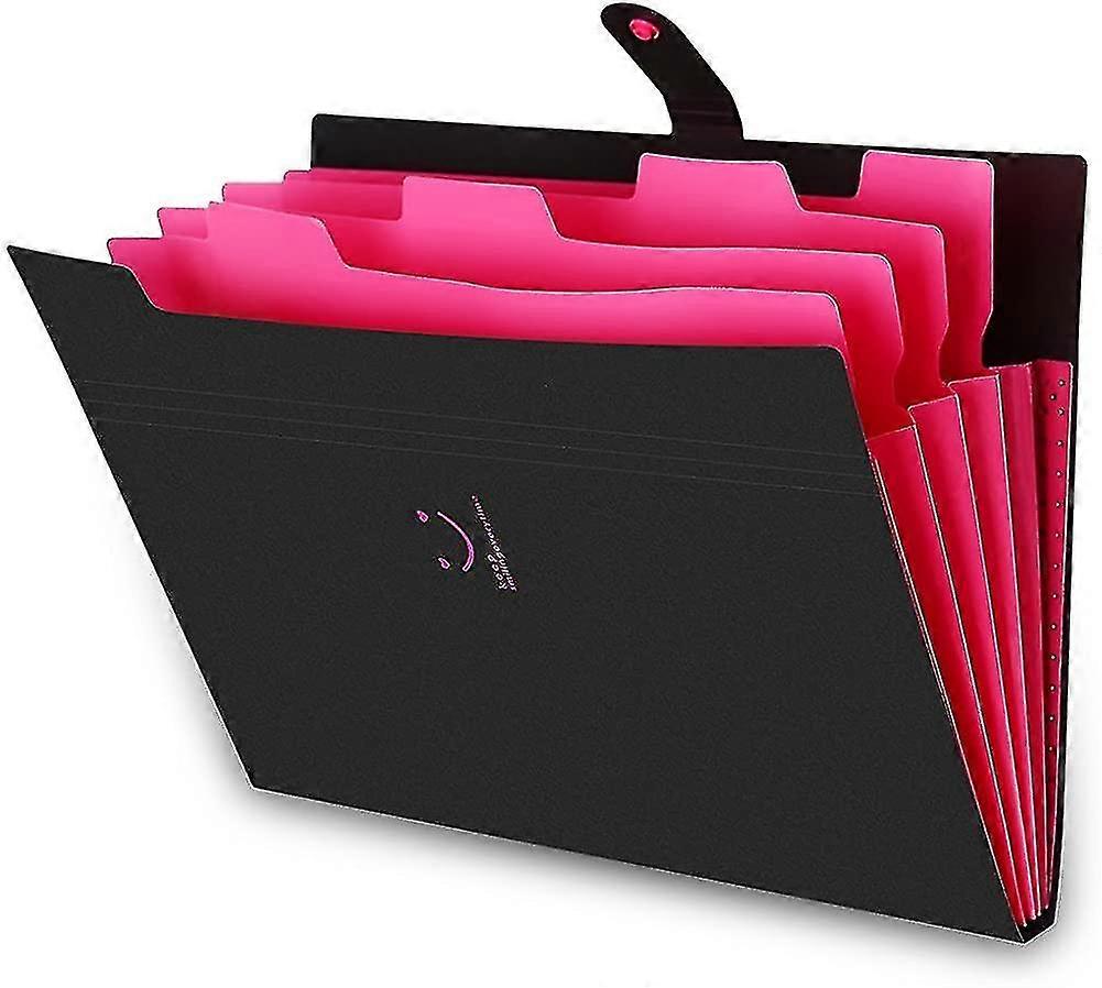Folder Folder Filing Cabinet Storage A4 Documents Expanding File Folder
