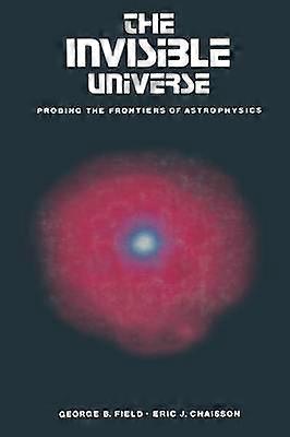 The Invisible Universe