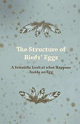 The Structure of Birds' Eggs  A Scientific Look at what Happens Inside an Egg