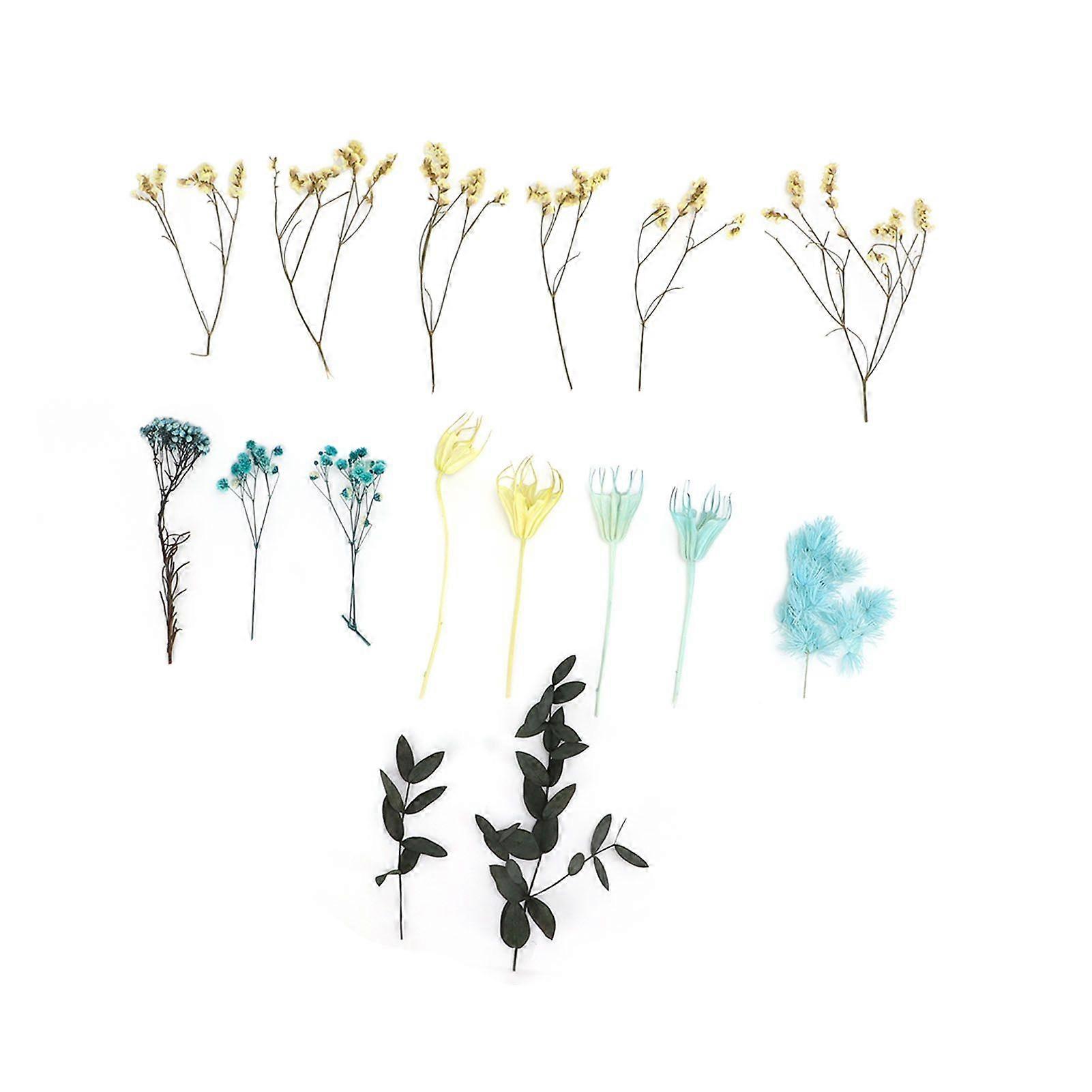 2025 أحدث طراز من الزهور المجففة الطبيعية عديمة الرائحة صنع باقة رائعة