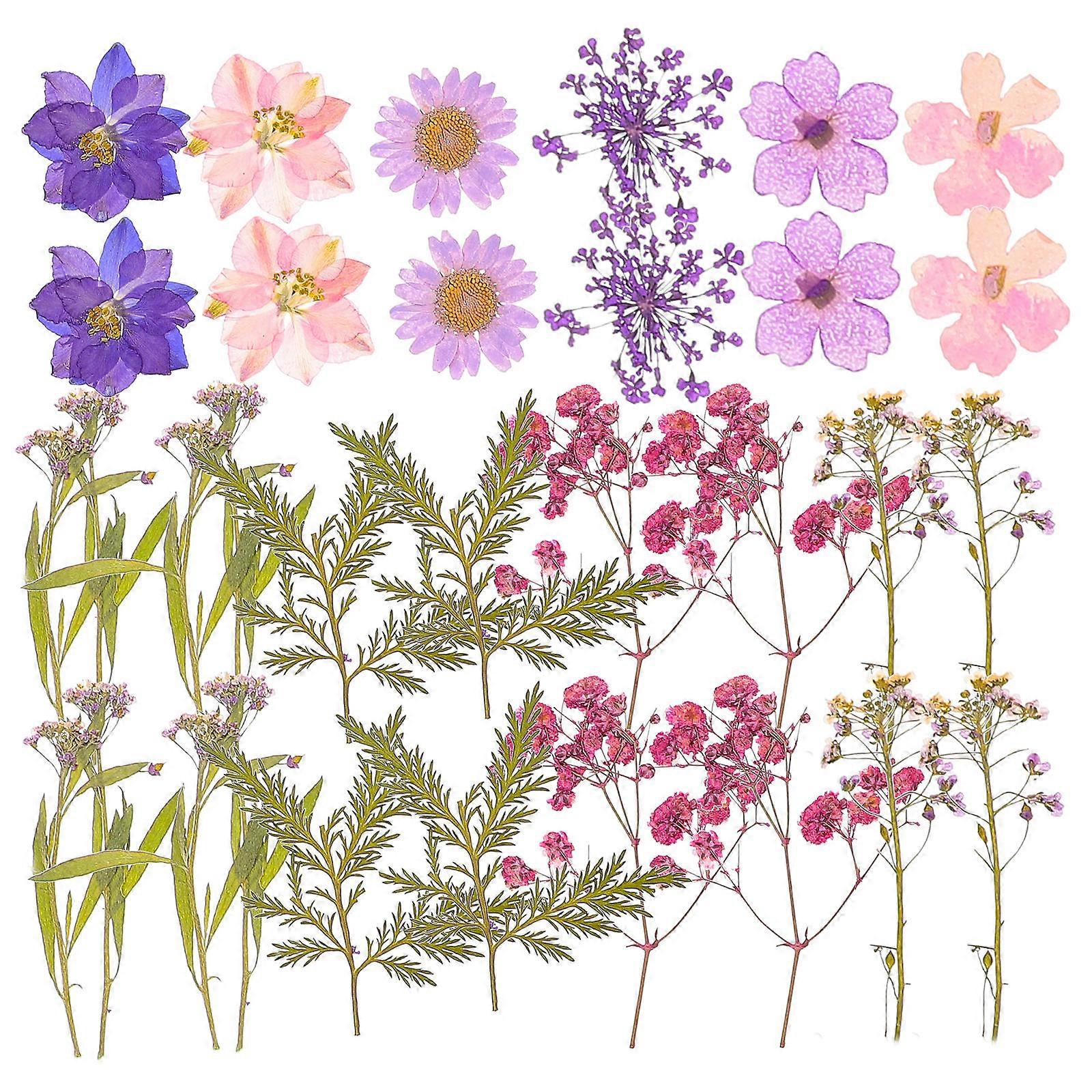 Large Pressed Flower Multi-Colored 4x4cm Diy Scrapbooking present Making 27Pcs/Set