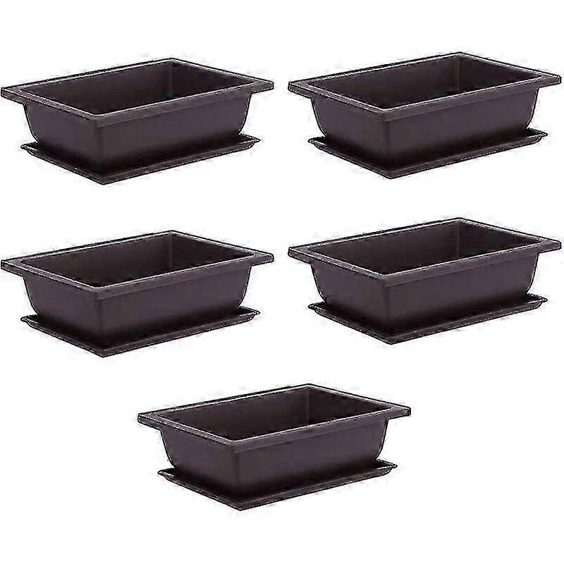 10pcs πλαστικές γλάστρες εκπαίδευσης μπονσάι δίσκων ιδανικές για χυμώδη ανάπτυξη λουλουδιών